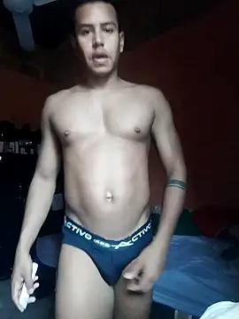 newides private