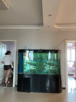 美女Baby96188在线直播