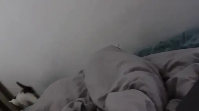 美女Hiperpetual在线直播