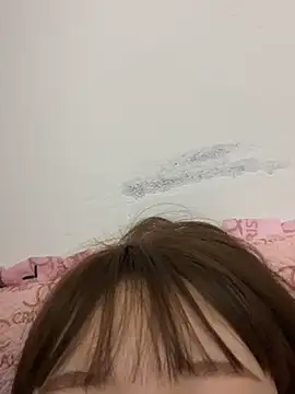 美女D-033在线直播