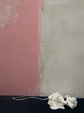 美女zqq5522在线直播