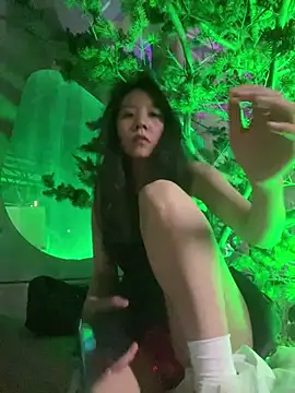 美女xinmeng-000在线直播