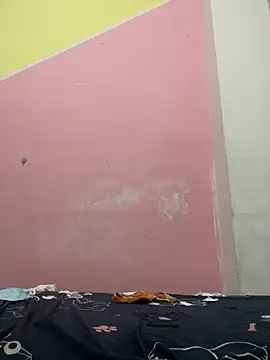 美女zqq5522在线直播