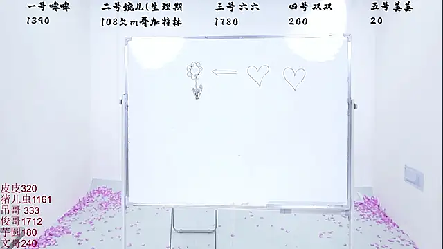 美女STY-9595在线直播